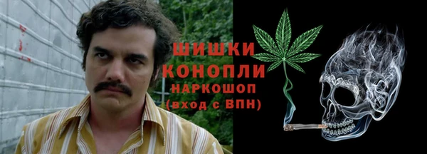 прущие крисы Елизово