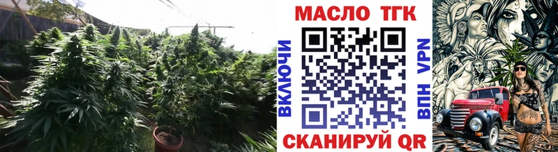 Купить  Сенгилей  ТГК вейп 